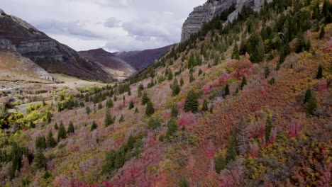 beautiful autumn forest near the bridal veil falls in utah, usa