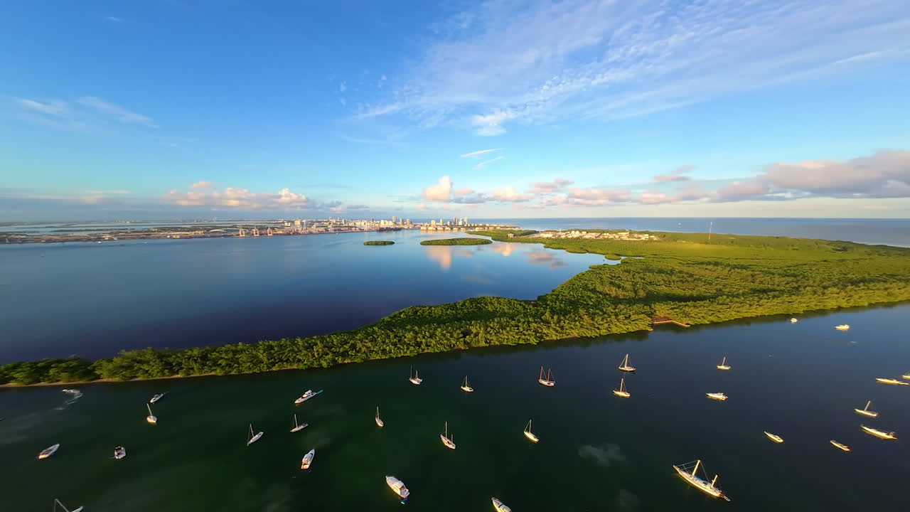 Numerous yachts and motor boats on the anchor in the bay. Sunny day at the seaside. American city skyline at backdrop. FPV drone footage.