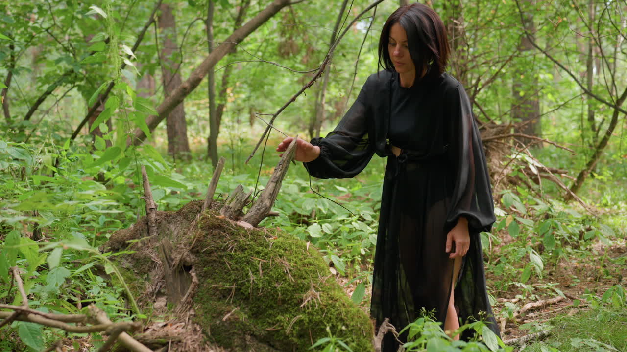 Lady in black flowing dress walking toward old uprooted tree covered with moss in lush green forest, studying ancient stump under soft daylight, capturing calm reflective moment