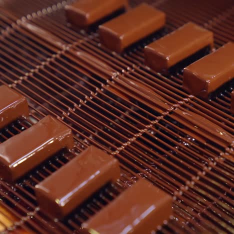 Chocolate candies on a conveyor belt