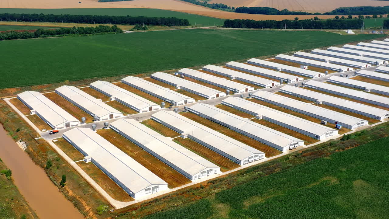 Aerial of family farm with grain bins, chicken house, barn and fields in summer hazy foggy light morning. Establishing shot. Farming concept