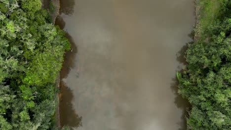 Río-En-Medio-Del-Bosque-Visto-Desde-Arriba