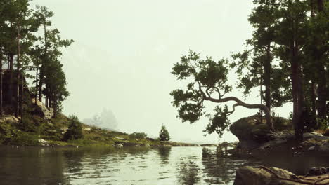 escena de un lago de montaña con niebla