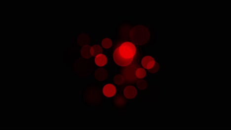 animation of patch of red crimson bokeh lights with subtle rings