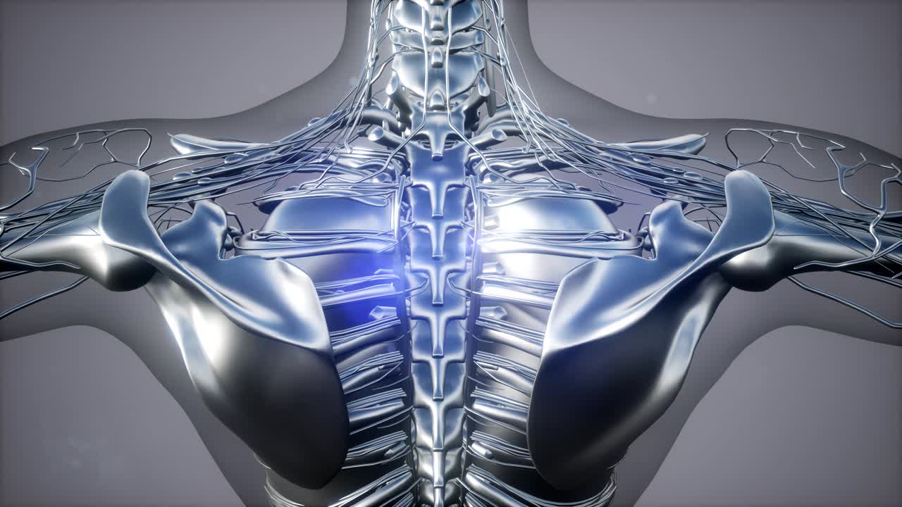 인체의 해부학 단층 촬영 스캔