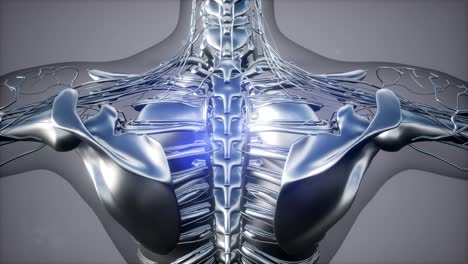 exploración de tomografía anatómica del cuerpo humano