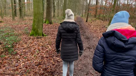 mimosas personas vestidas abrigadas caminando en el bosque natural con hojas que caen