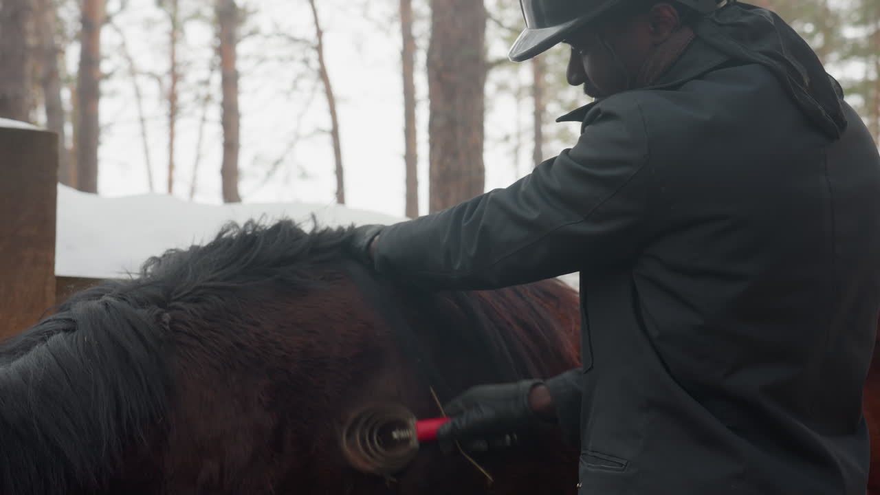 mozo de cuadra cuidando del caballo con calma, mañana tranquila con caballo y cuidador, mozo de cuadra apacible acicalando al caballo en una escena nevada en el establo, momento sereno de un jinete cuidando con delicadeza del caballo durante una mañana de invierno