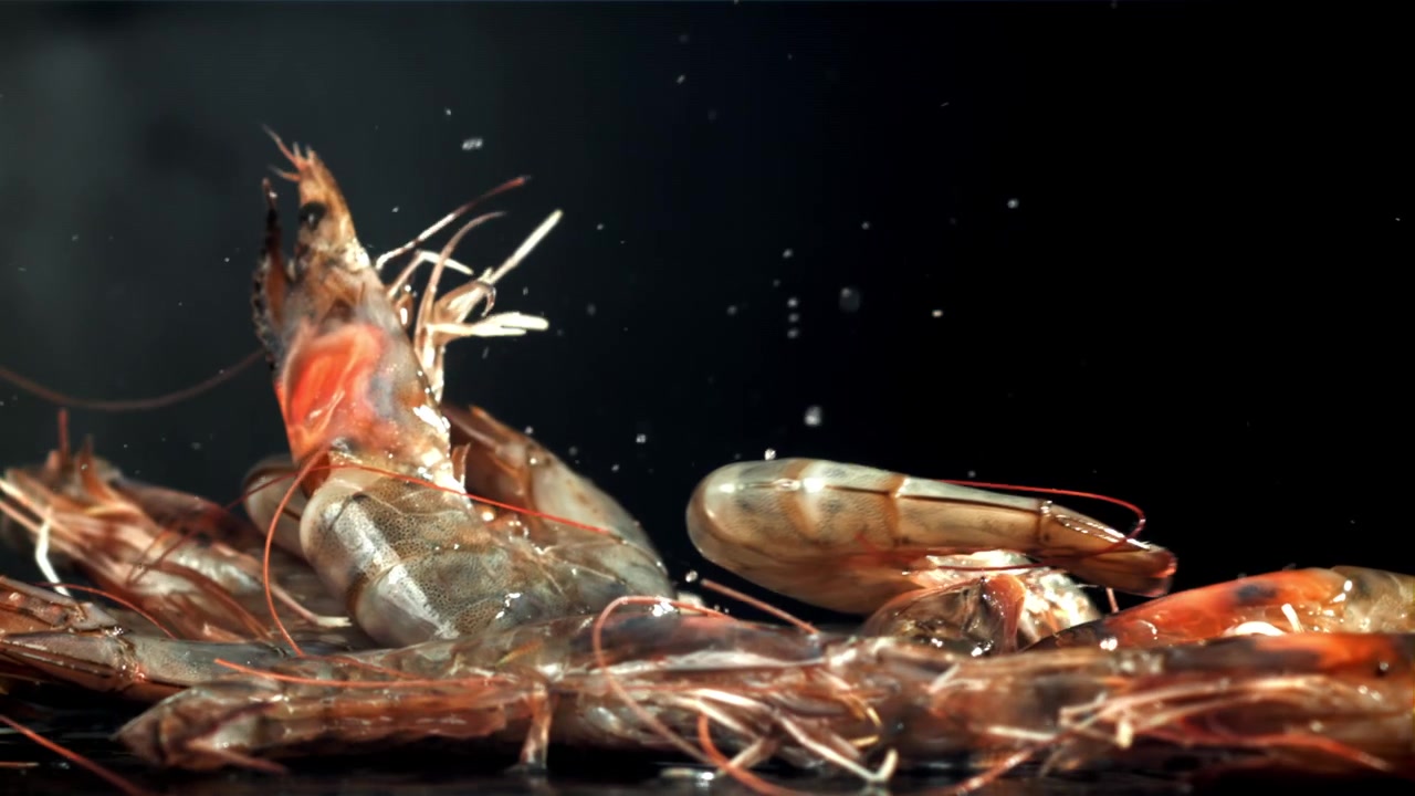 Slow motion di gamberi crudi che cadono e schizzano su sfondo scuro