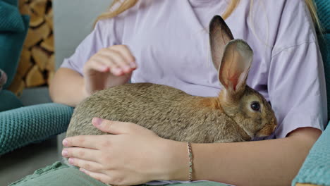 girl holding a rabbit