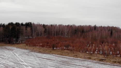 Brownfield-Cubierto-De-Nieve-Junto-Al-Bosque-En-Un-Clima-Nublado-En-Buszkowy-Gorne,-Polonia