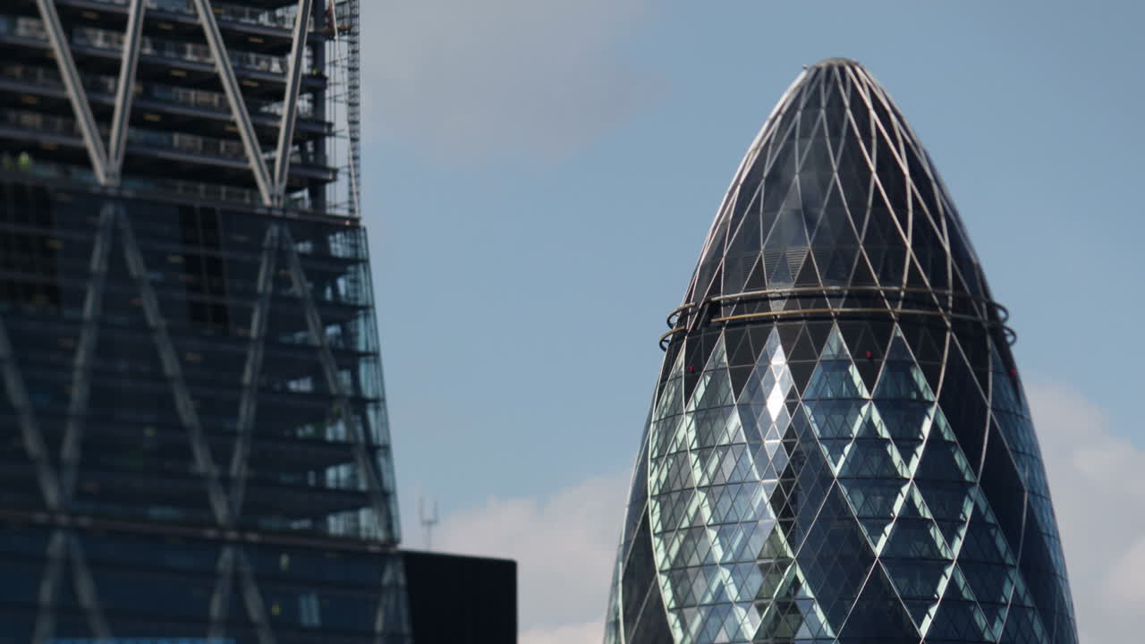 작은 오이 보기 01