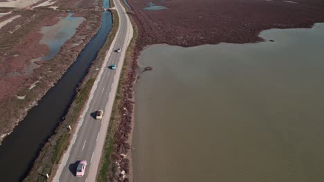 fotografía aérea de dos caballos de época multicolores que conducen por el campo francés