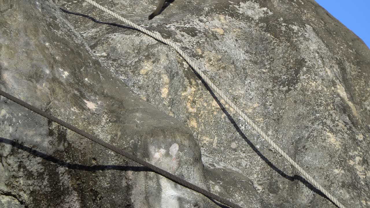 다람쥐원숭이는 한국 과천 서울대공원 어린이동물원에서 바위에 밧줄을 타고 올라간다 - 정적 샷