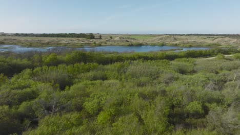 aerial view, the swamp is between trees, bushes, and a sand dune