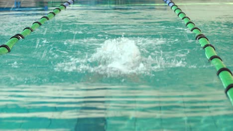 fit swimmer doing the butterfly stroke in the swimming pool