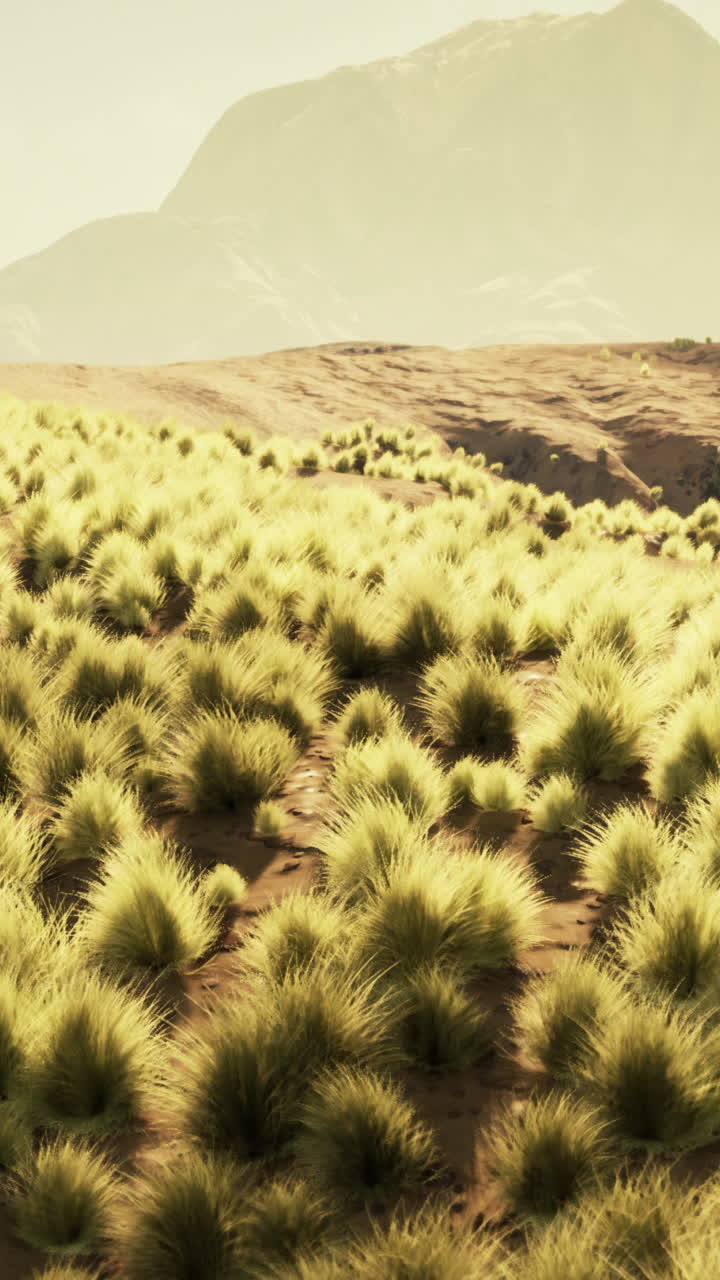 잔디와 산이 있는 멋진 사막 풍경