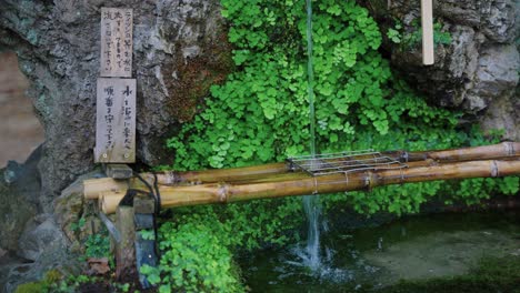 pure mountain drinking water at fujinomori shrine, kyoto japan