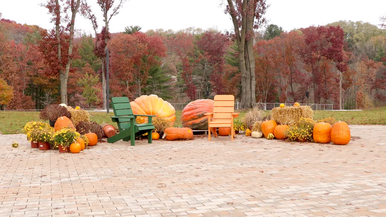 exhibición de calabaza de otoño en un parque urbano en el parque river prairie en altoona, wisconsin