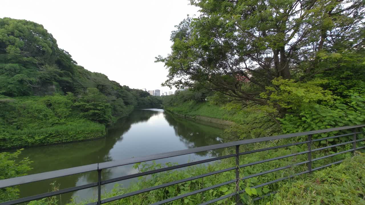 도쿄 치도리가푸치 (tokyo chidorigafuchi) 2022년