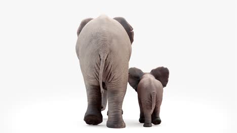 cg animation. elephant and elephant baby go .loop animation .camera from behind.