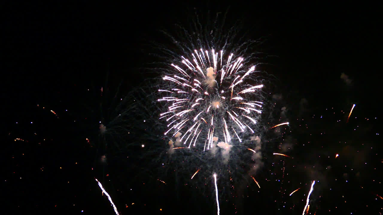 hermosa celebración abstracto colorido espectáculo de fuegos artificiales en el fondo de la noche