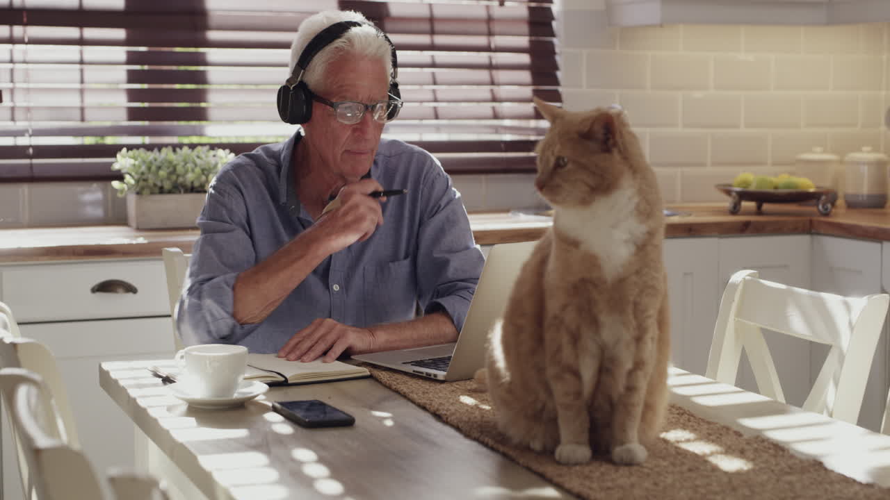 최고의 동반자는 애완동물입니다.