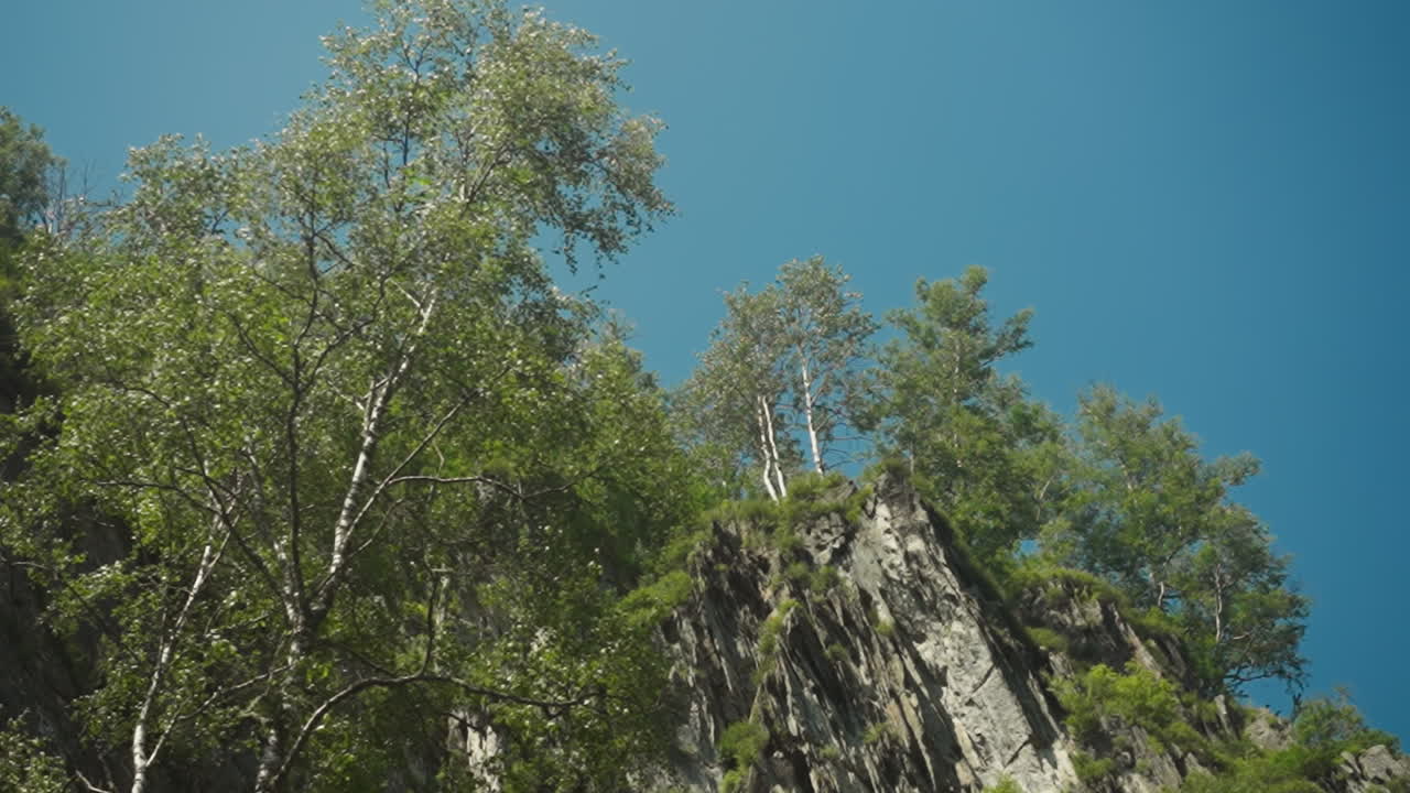 은 푸른 하늘 아래의 여름 숲에서 모스가 자라는 높은 가파른 절벽, 빛이 넘치는 숲 속의 큰 바위, 순수한 자연의 아름다움을 발견