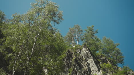 high steep cliff with growing moss in summer forest under clear blue sky. large rock among sunny woodland area. discovery beauty of virgin nature