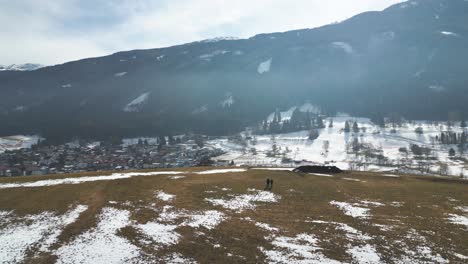 Aerial-drone-view-flying-over-brown-grass-fields-hill,-with-a-road-with-forest-and-small-town-on-foot-of-alpine-snow-covered-mountain-and-beautiful-sunny-blue-sky-winter-day