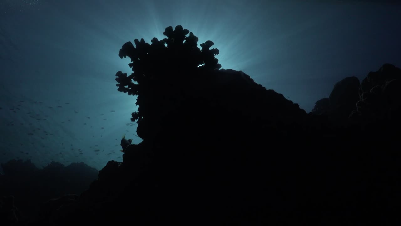silueta de arrecife de coral con rayos de sol afilados que brillan a través de la superficie del agua