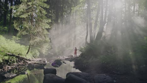 Paseo-Por-El-Bosque-Encantado:-Plano-General-De-Una-Mujer-Con-Un-Vestido-Rojo-Vibrante-Caminando-A-Lo-Largo-Del-Lecho-De-Un-Río-En-Medio-De-La-Niebla-Mística-De-La-Mañana-A-Través-De-Un-Bosque-Exuberante-Que-Parece-Un-Cuento-De-Hadas