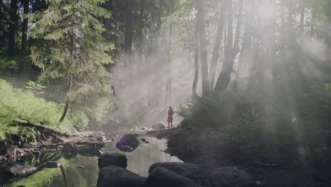 enchanted forest stroll: wide shot of a woman in a vibrant red dress walking along a riverbed amid the mystical morning mist and fog through a lush, fairy-tale like forest