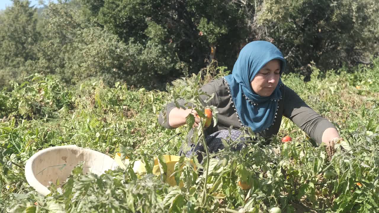 Femme récoltant la nature