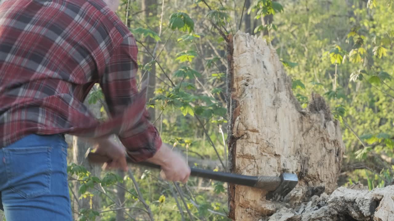 斧で木に向かって振る若い白人の木こり