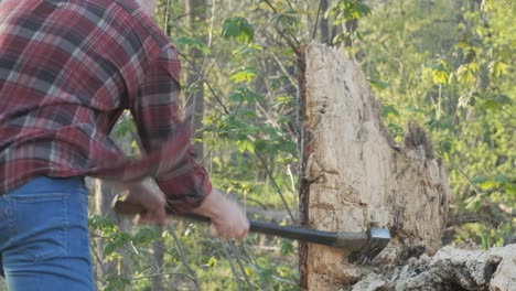 joven leñador caucásico balanceándose en un árbol con su hacha