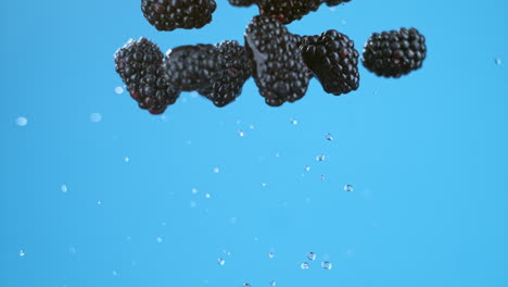 a group of blackberries flying in air and dropping back with water drops