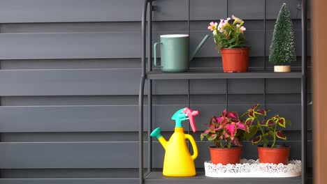 a close-up of a metal shelf with plants and gardening tools.