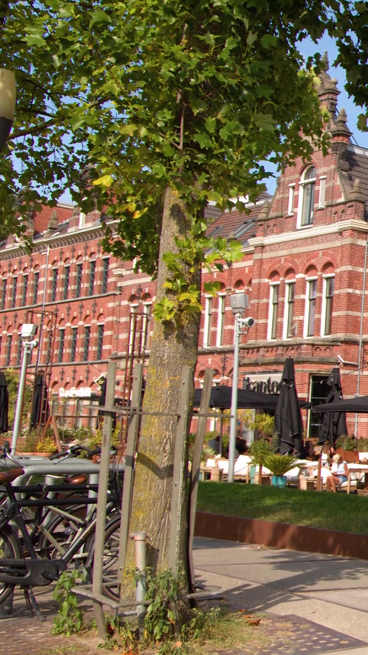 Inquadratura statica diurna di un albero, biciclette e un edificio in mattoni rossi nel quartiere Westerpark di Amsterdam.
