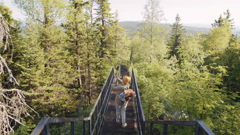 hiking in the woods