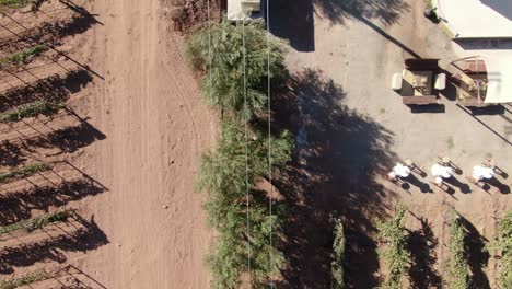 Aerial-view-of-a-vineyard-set-for-a-social-event