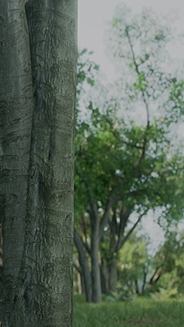 a close up of a tree trunk in a forest