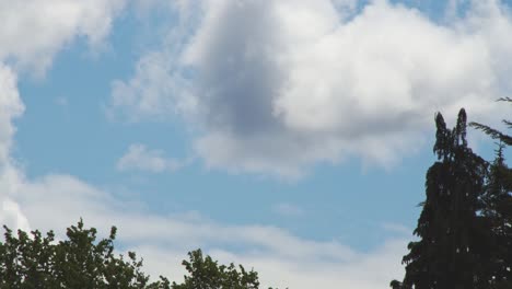 Clouds-with-trees-beside---Timelapse