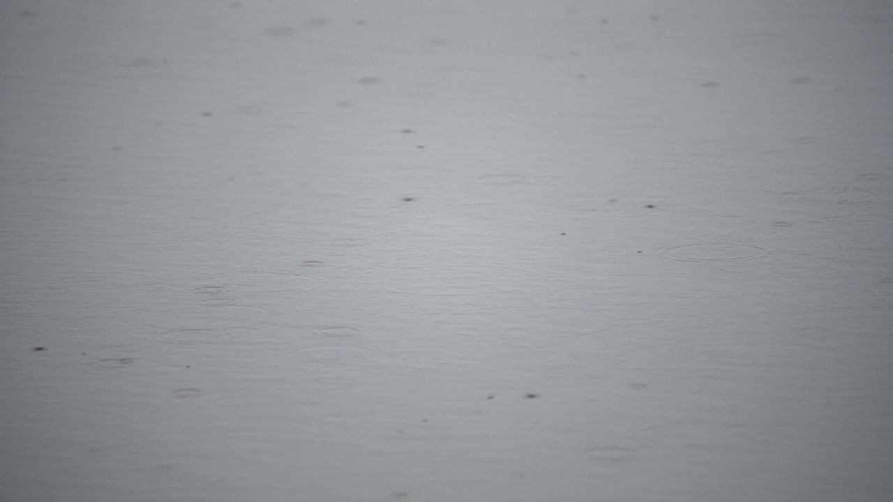 la lluvia provoca ondas en la superficie de un lago