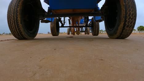 horse-drawn carriage traveling down desert sandy surface