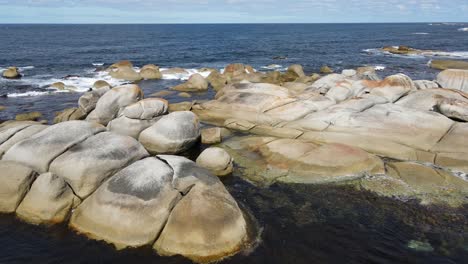 drone aerial parallax around rock bay of fires tasmania with birds flying slow motion 60fps