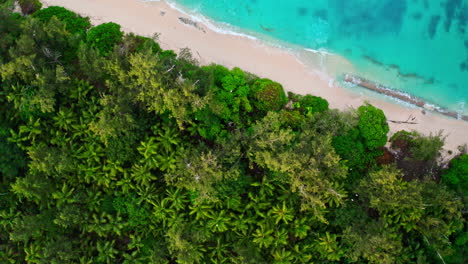 top down aerial drone shot of tropical beach