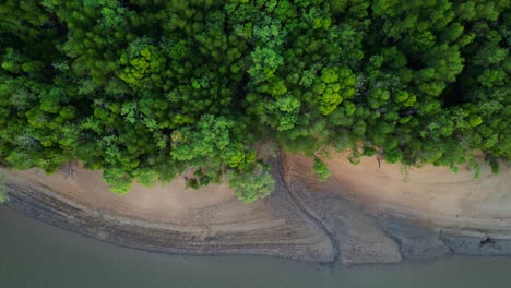 Abend-Mangroven-Fluss-Krabi-Thailand