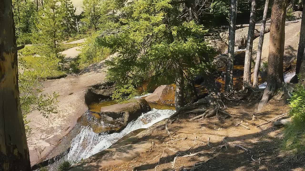 Riacho de montanha tranquilo flui através de uma floresta verde exuberante, Colorado, EUA