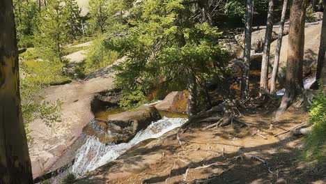 Un-Tranquilo-Arroyo-De-Montaña-Fluye-A-Través-De-Un-Exuberante-Bosque-Verde,-Colorado,-Estados-Unidos